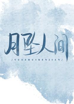 月坠人间封面