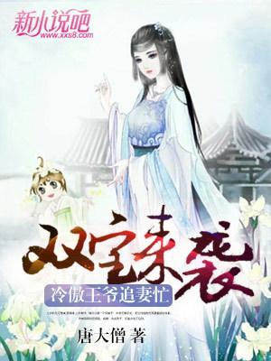 双宝来袭,冷傲王爷追妻忙封面