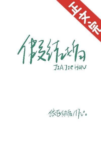 假结婚封面