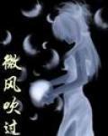 微风吹过封面