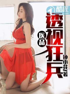 医品透视狂兵封面