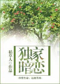 独家暗恋封面