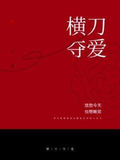 横刀夺爱封面