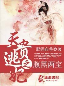 天贵逃妃之腹黑两宝封面