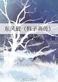 东风破(韩子高传)封面