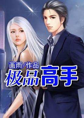 极品高手封面