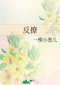 反撩封面