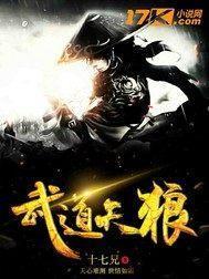 武道天狼封面