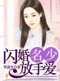 闪婚名少放手爱封面