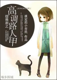 综韩剧之高调路人甲封面