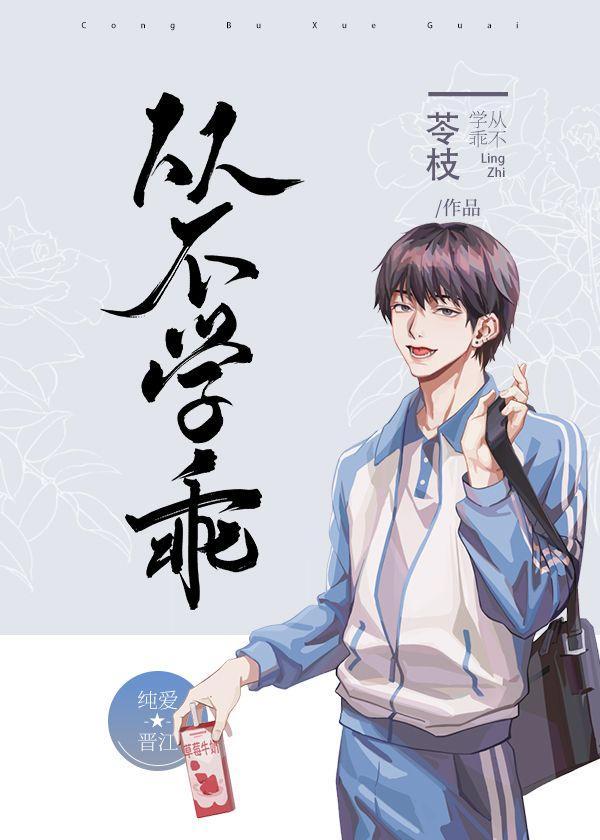 从不学乖封面