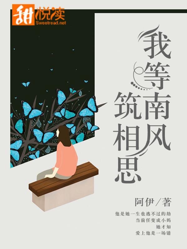 我等南风筑相思封面