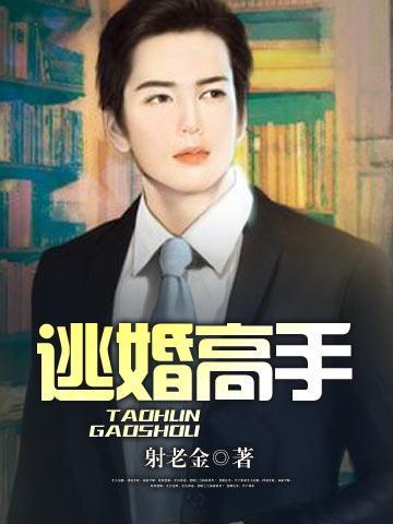 逃婚高手封面