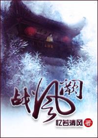 战风阙封面