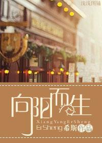 向阳而生封面