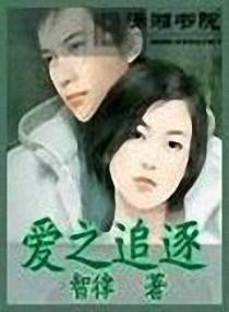 爱之追逐封面