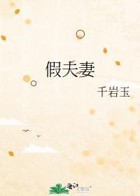 假夫妻封面