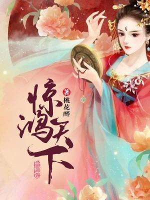 惊鸿天下封面