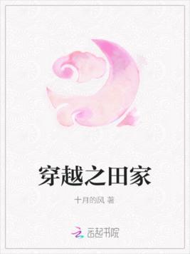 穿越之田家封面