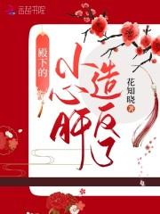 殿下的小心肝造反了封面