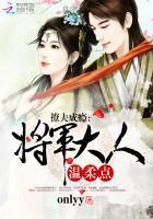 撩夫成瘾：将军大人，温柔点封面