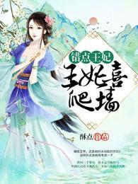 错点王妃：王妃喜爬墻封面