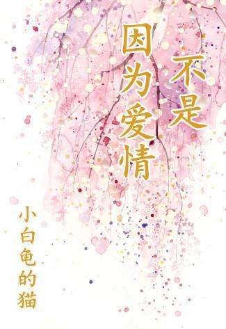 不是因为爱情封面