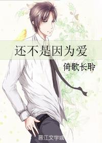 还不是因为爱封面