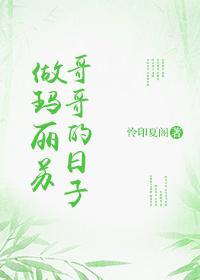 做玛丽苏哥哥的日子封面