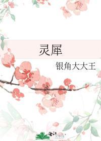 灵犀封面