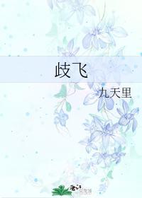 歧飞封面