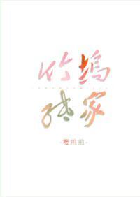 竹坞纸家封面