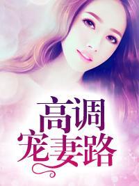 高调宠妻路封面