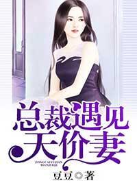 总裁遇见天价妻封面
