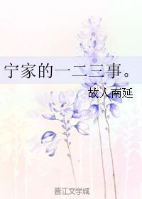 宁家的一二三事。封面