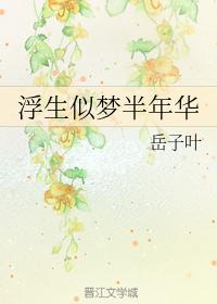 浮生似梦半年华封面