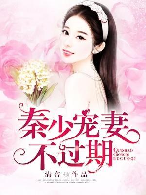 秦少宠妻不过期封面