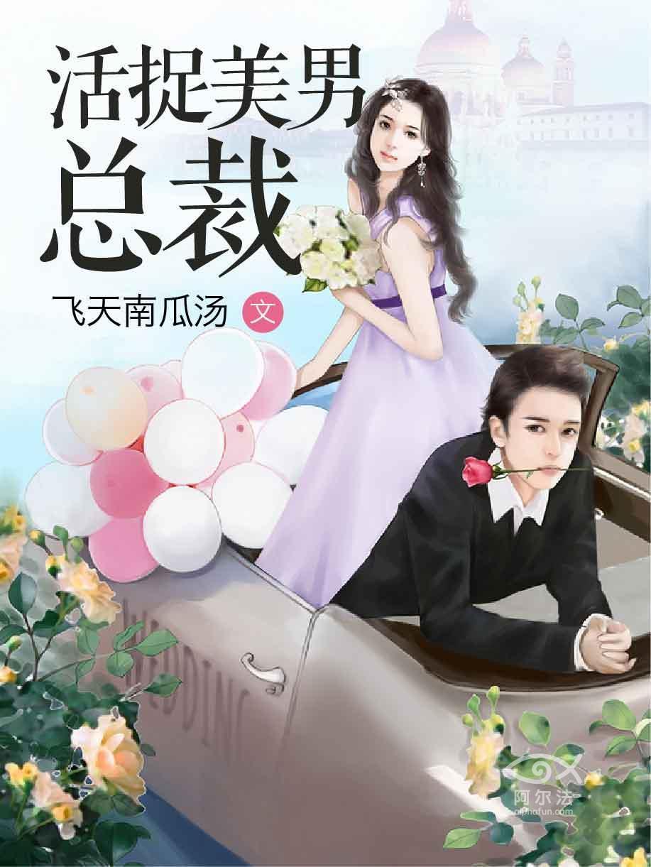 活捉美男总裁任意意安译封面