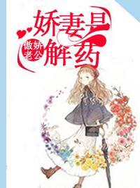 傲娇老公：娇妻是解药封面