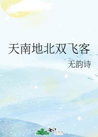 天南地北双飞客封面