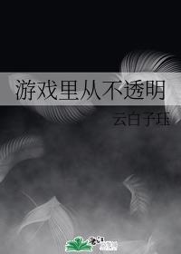 游戏里从不透明封面