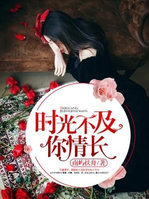 时光不及你情长封面
