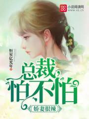 娇妻很辣：总裁，怕不怕封面