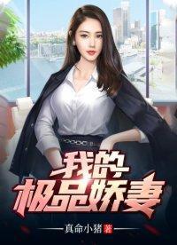 我的极品娇妻封面
