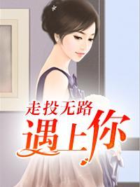 走投无路遇上你封面