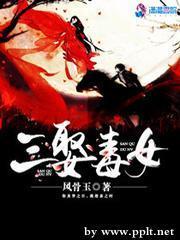 三娶毒女封面