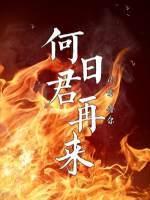 何日君再来封面