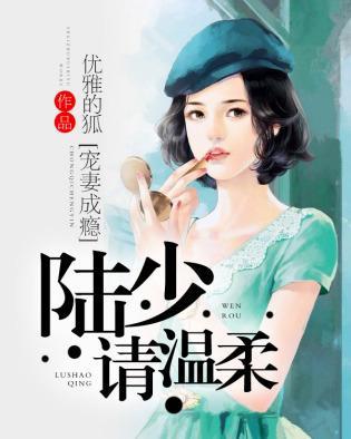 宠妻成瘾:陆少请温柔封面