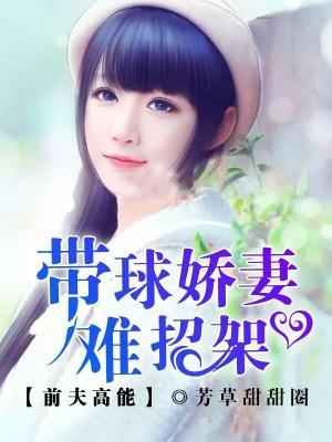 前夫高能:带球娇妻难招架封面
