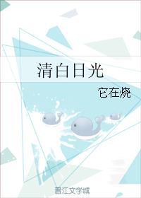 清白日光封面